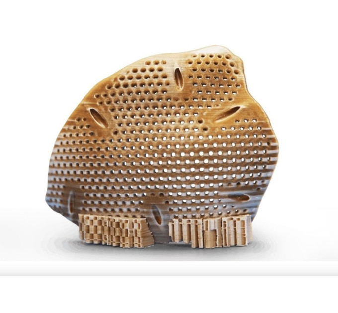 CreatBot PEEK-250 3d  принтер
